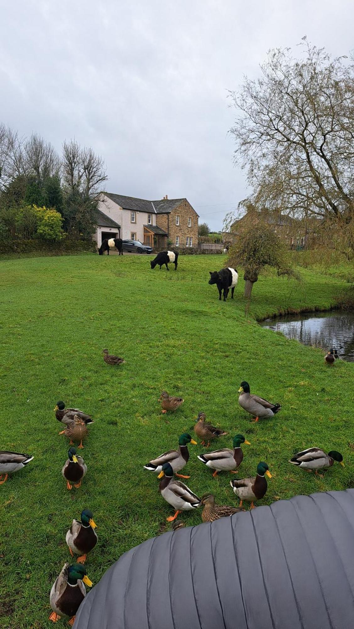 Church House Barn Lake District & Solway Coast With Solway Firth Views Silloth Exterior foto